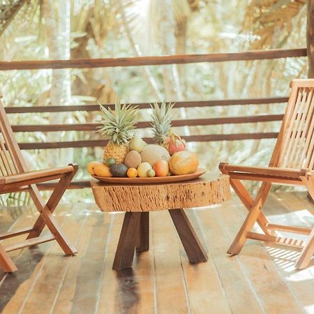 Hotel Buenavista Bacalar Jungle Experience Zewnętrze zdjęcie