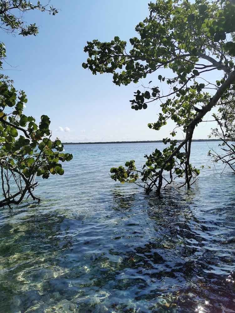 Hotel Buenavista Bacalar Jungle Experience Zewnętrze zdjęcie